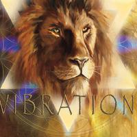 Shining Lion