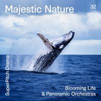 Majestic Nature (Blooming Life & Panoramic Orchestras)