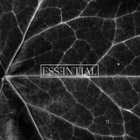 ESSENTIAL 014