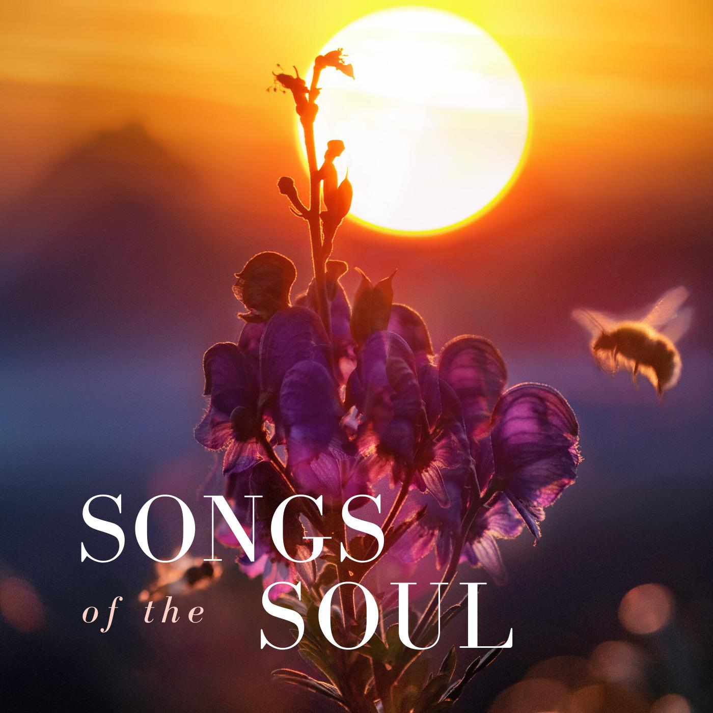 song-img