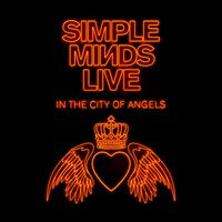 Don't You (Forget About Me) (Live in the City of Angels)