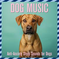 Dog Music: Anti-Anxiety Sleep Sounds for Dogs