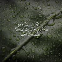 50 Classic Rain Sounds for Deep Sleep and Serenity