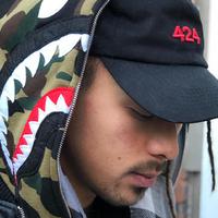 Gameboi Gekko