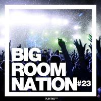 Big Room Nation, Vol. 23