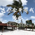 神仙抖腿摇 (DJ版)封面