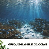 Sons de l'Océan et de la Mer : Mélodies sous les Vagues