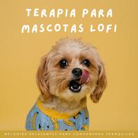 Terapia Para Mascotas Lofi: Melodías Relajantes Para Compañeros Tranquilos