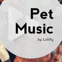 Pet Music by Lullify