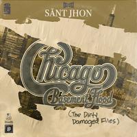 Chicago Basement Flood (The Dirty Damaged Files)