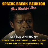 Spring Break Reunion: The Rockin' Era- Live