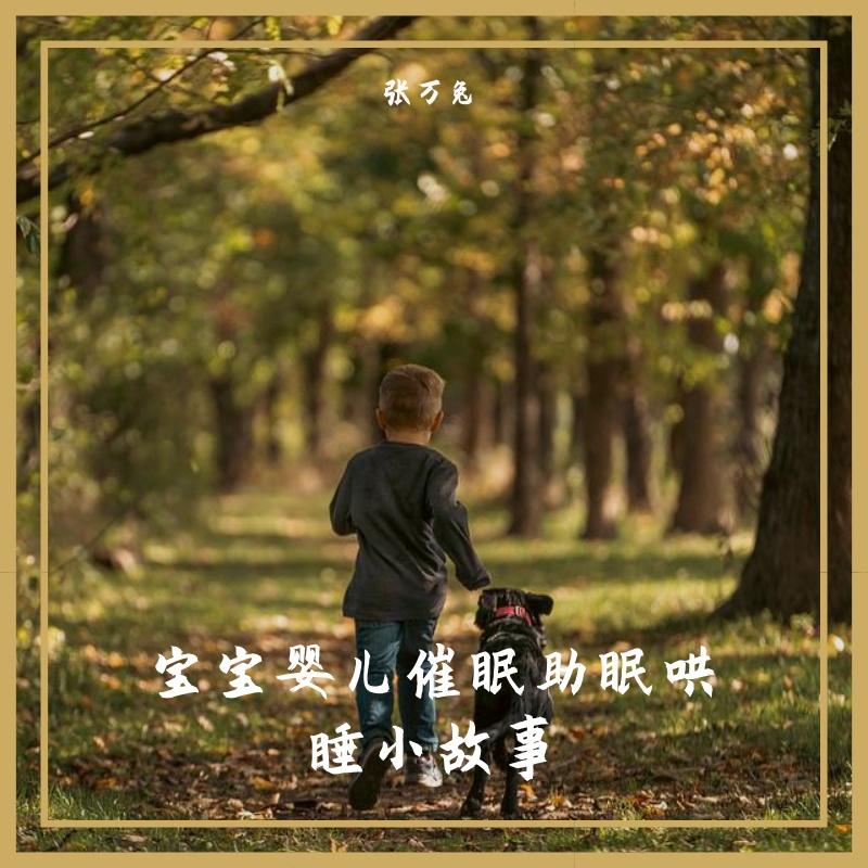 紫禁城里的呼噜猫(睡前故事) - 张万兔封面