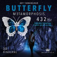 ButterFly Metamorphosis 432Hz Binaural 3D Persian Setar and Piano