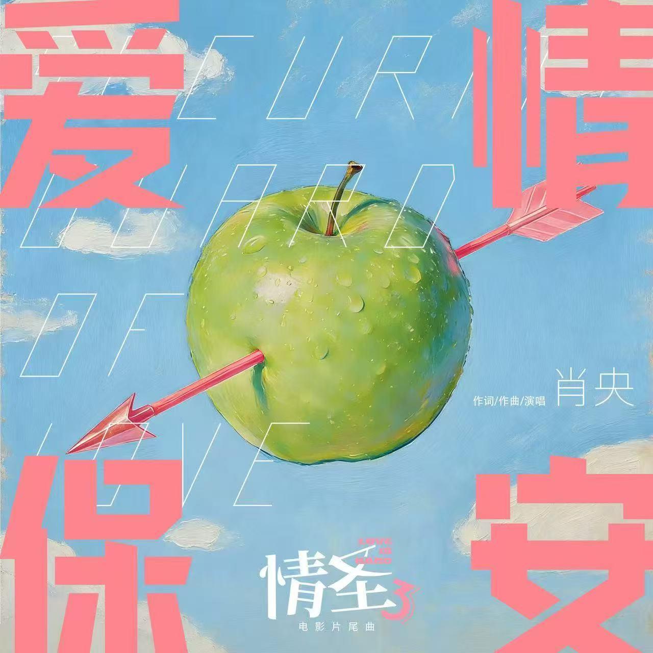 爱情保安封面