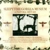 Sleepytime Gorilla Museum - What Shall We Do Without Us?