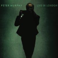 Peter Murphy Live In London