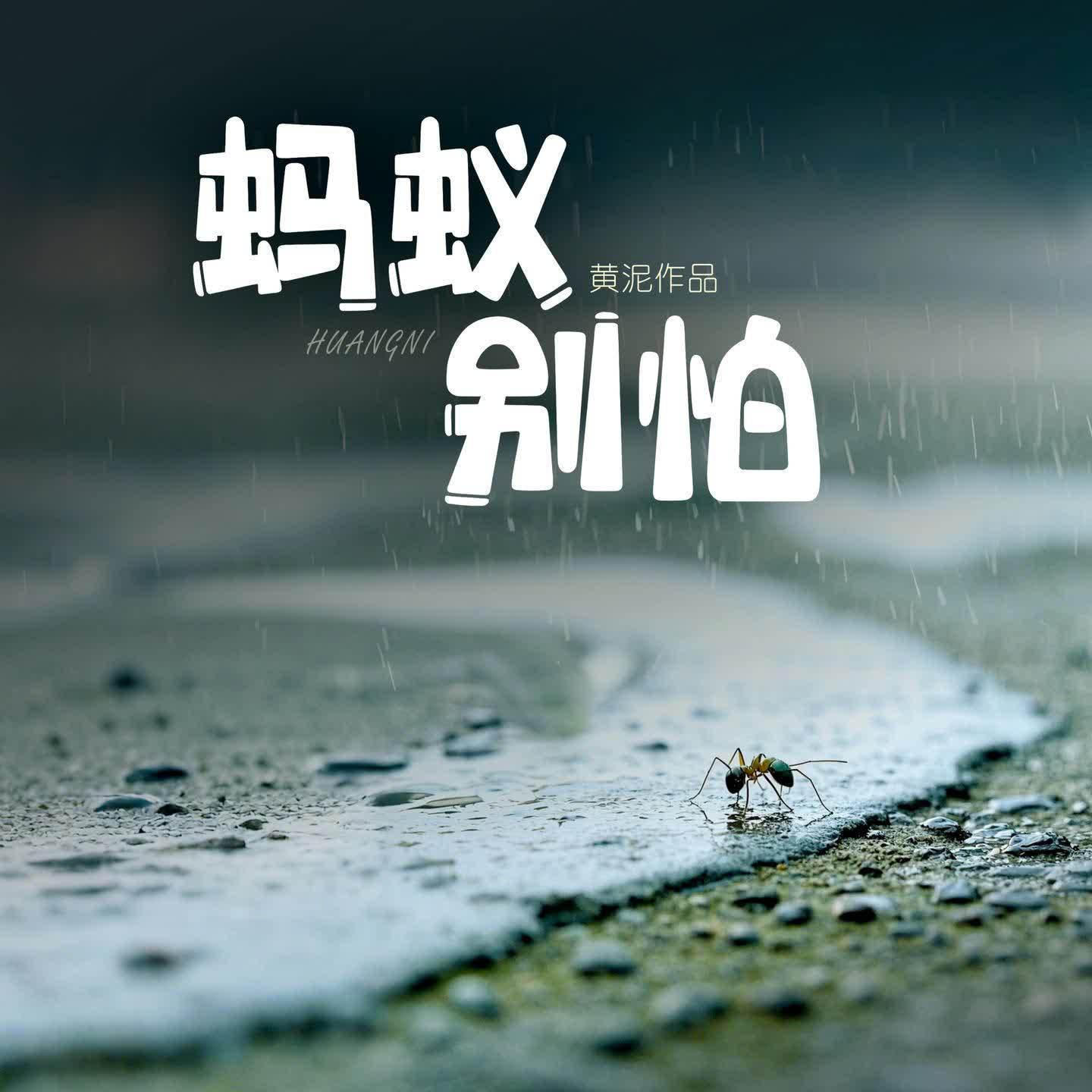 蚂蚁别怕封面