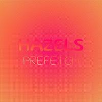 Hazels Prefetch