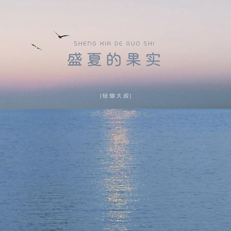 盛夏的果实 (DJ版)封面