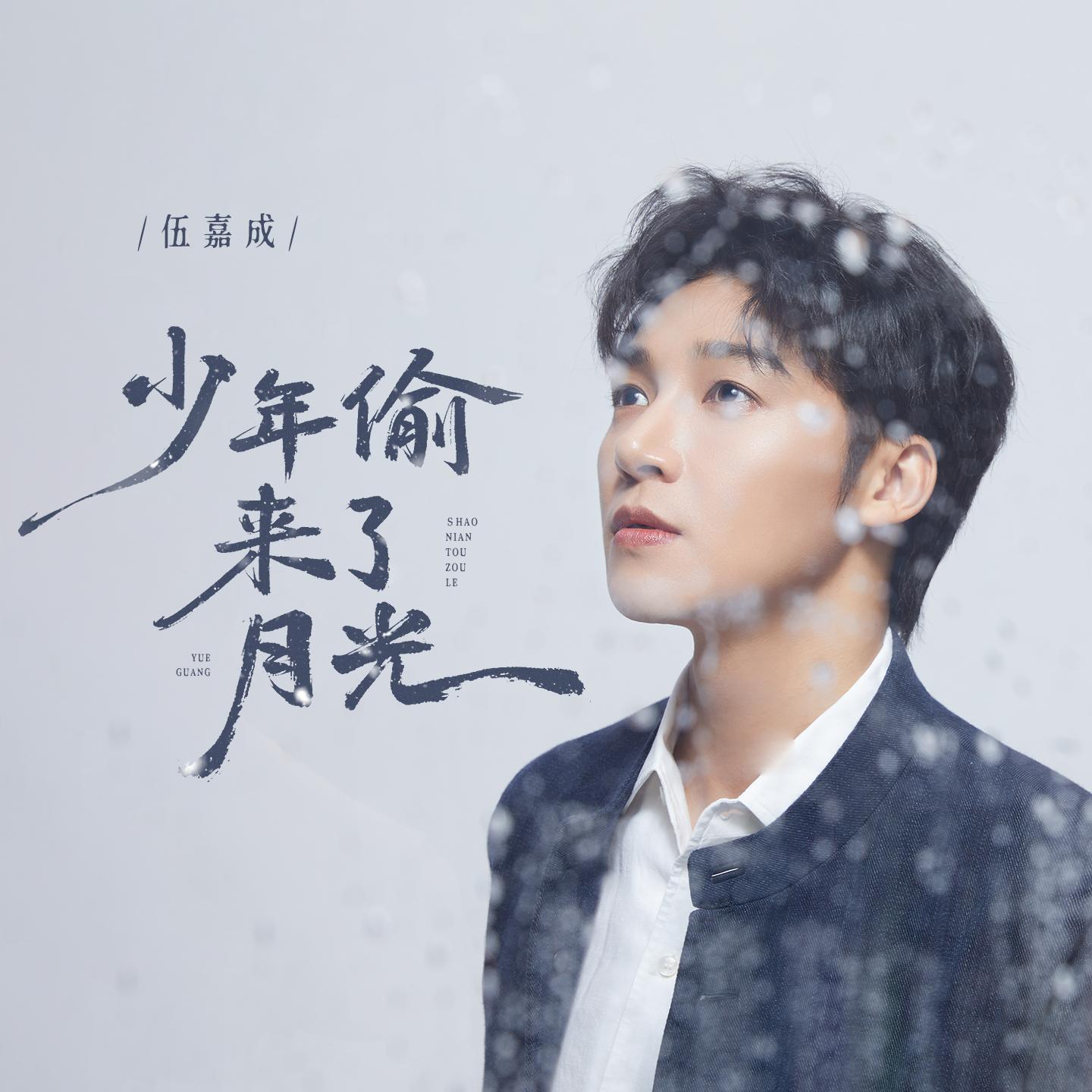 少年偷来了月光