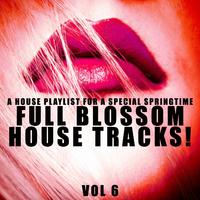 Full Blossom House Tracks! - Vol.6