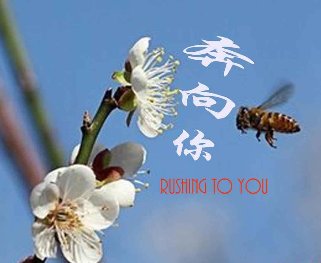 打不开的锁 - 王艺涛封面