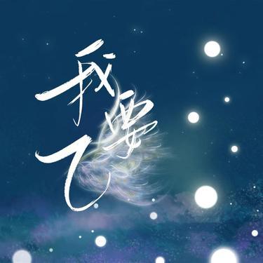 我要飞  (Live) (Cover TOP登陆少年组合)封面