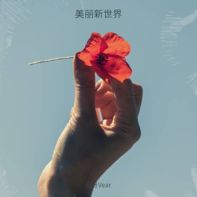 美丽新世界 (和声伴奏)封面