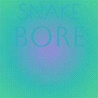 Snake Bore