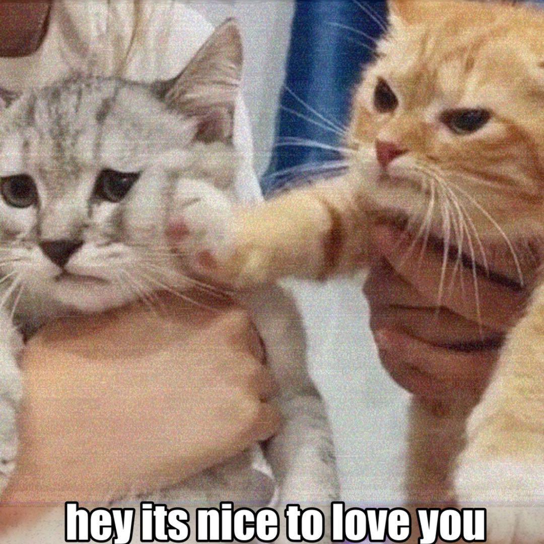 你好,很高兴爱上你