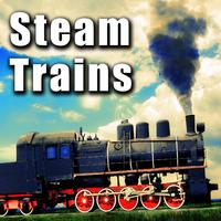 Trains: Steam