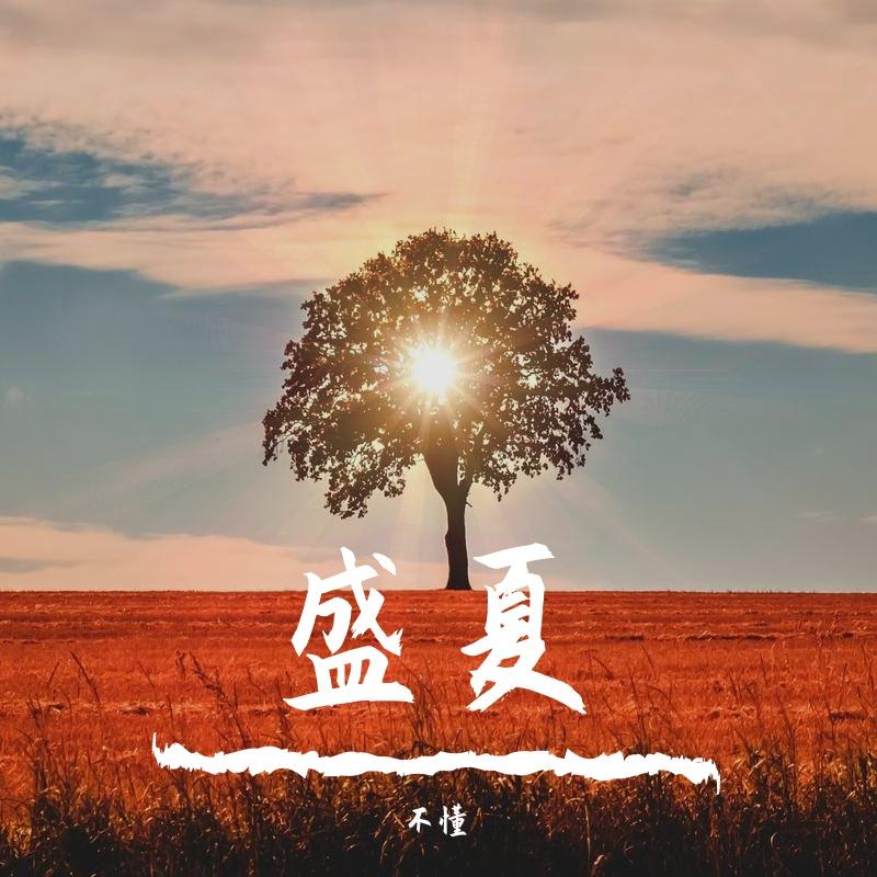 舒克与贝塔封面
