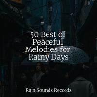 50 Best of Peaceful Melodies for Rainy Days