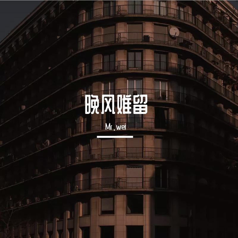 麻醉师-麻醉师 （Mr.wei remix）封面