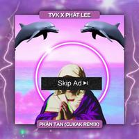 Phận Tàn (Remix)