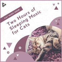 2 Hours of Sleeping Music for Cats