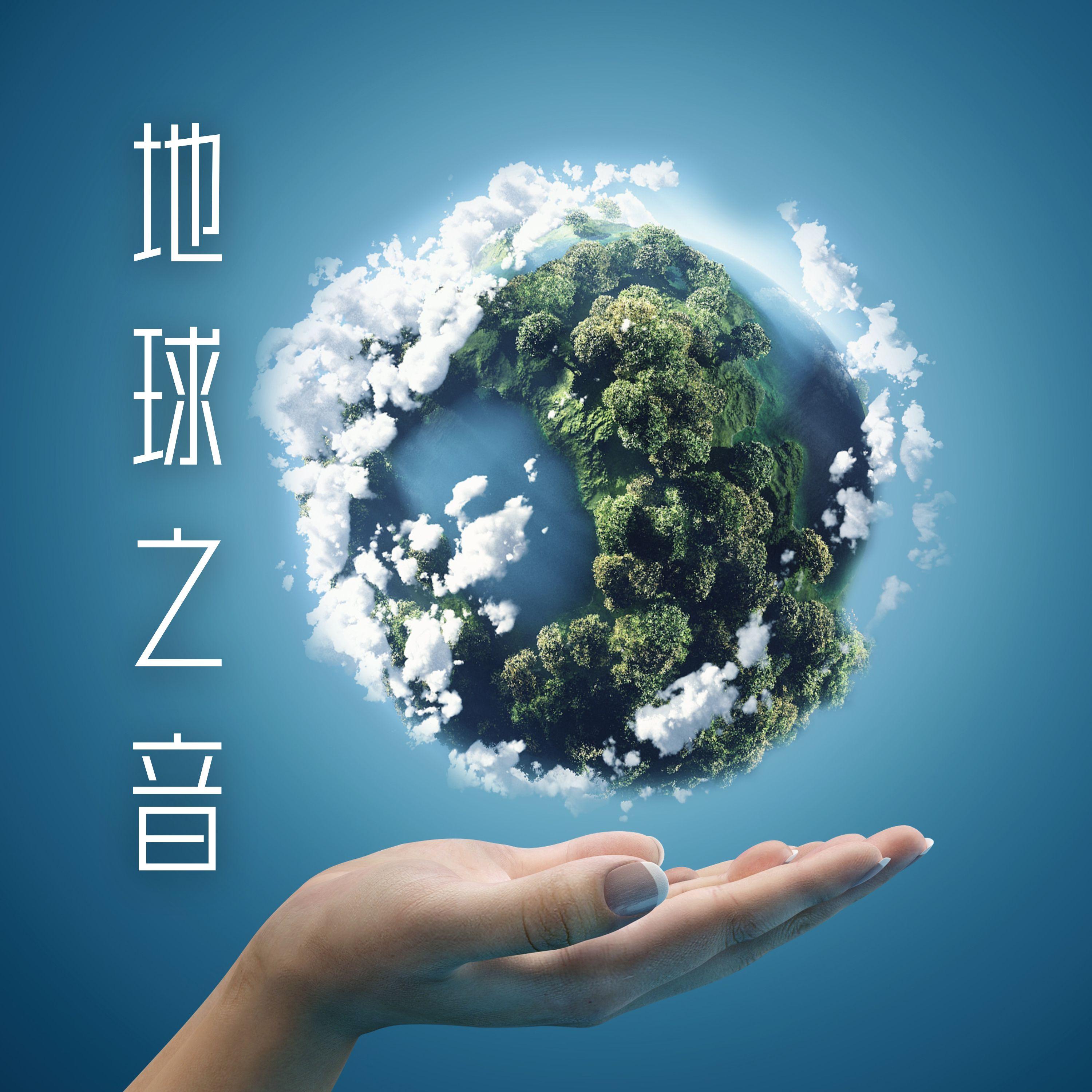 梯田 - 自然世界、森林歌曲封面