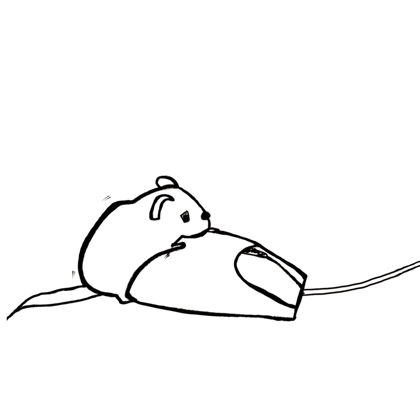 硕鼠封面