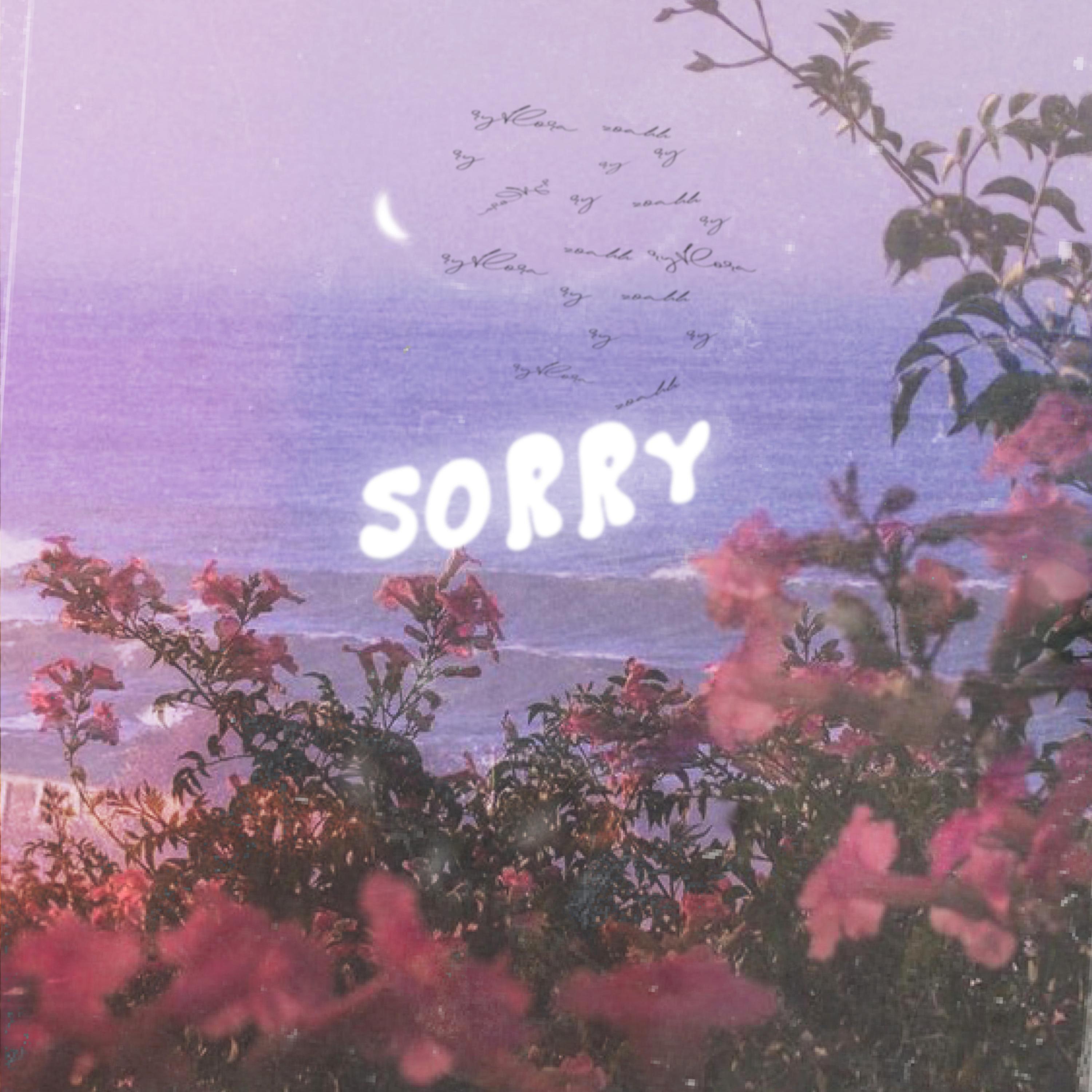 sorry
