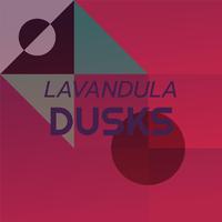 Lavandula Dusks