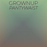 Grownup Pantywaist