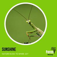 Sunshine - Nature Music to Spark Joy