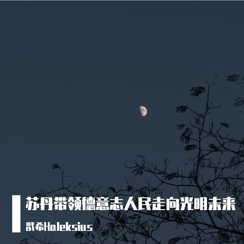 苏丹带领德意志走向光明未来完整版封面