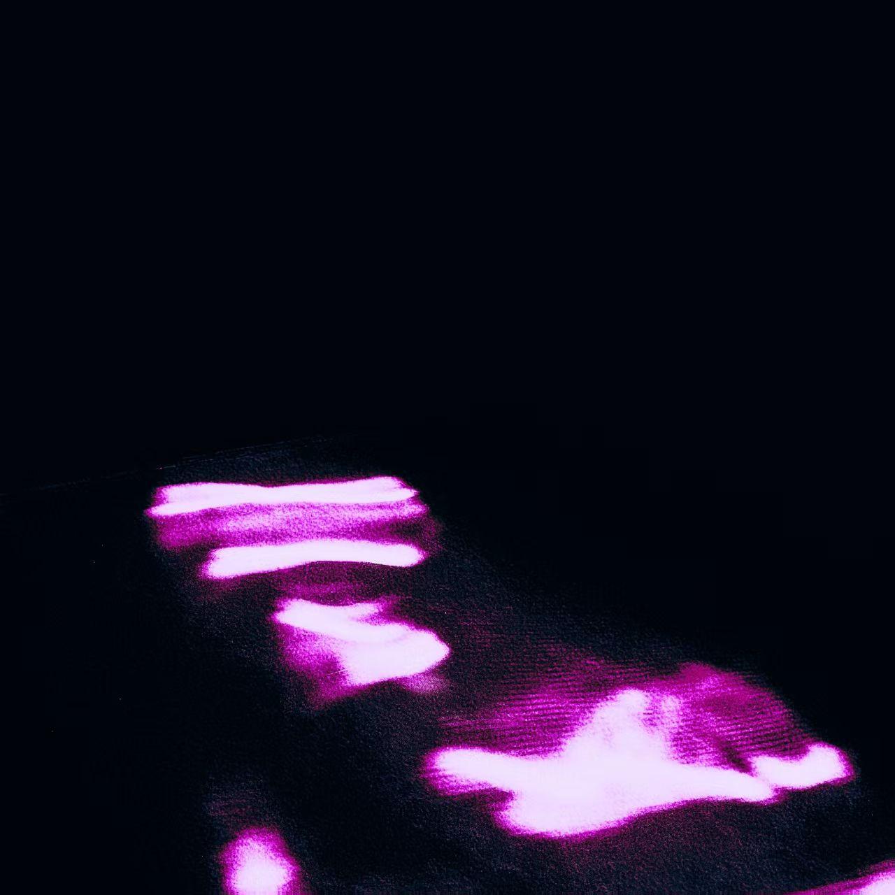 囚鸟封面