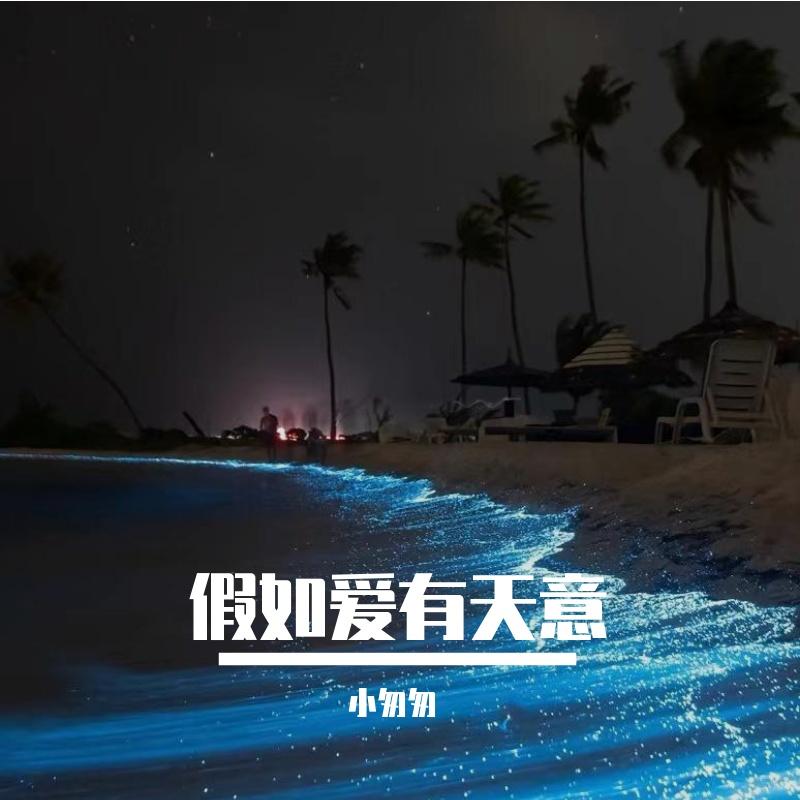 假如爱有天意(完整女版)封面