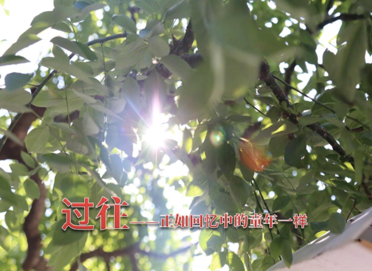 我真的累了封面