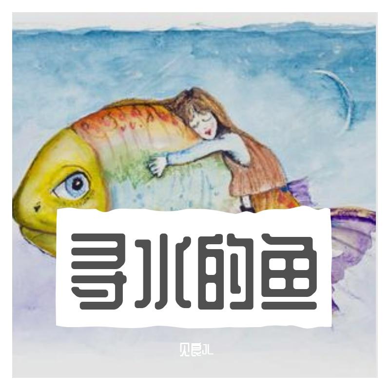 寻水的鱼封面