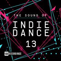 The Sound Of Indie Dance, Vol. 13