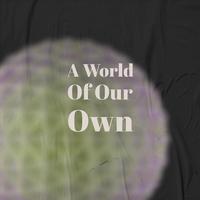 A World Of Our Own