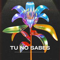 tu no sabes